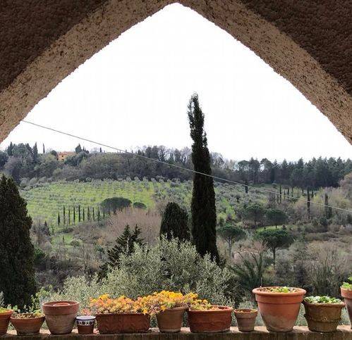 casa indipendente in vendita a Montescudaio
