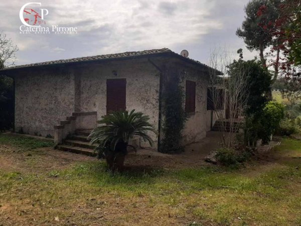 casa indipendente in vendita a Montescudaio