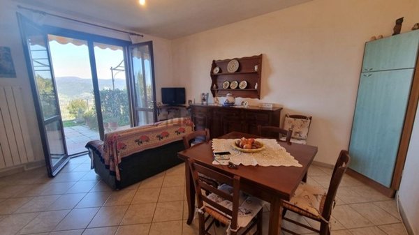 appartamento in vendita a Montescudaio