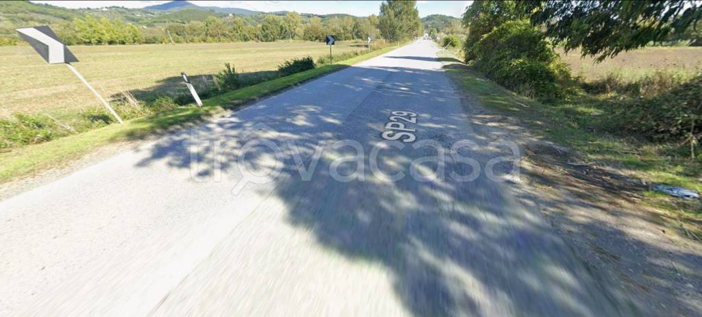 terreno agricolo in vendita a Montescudaio