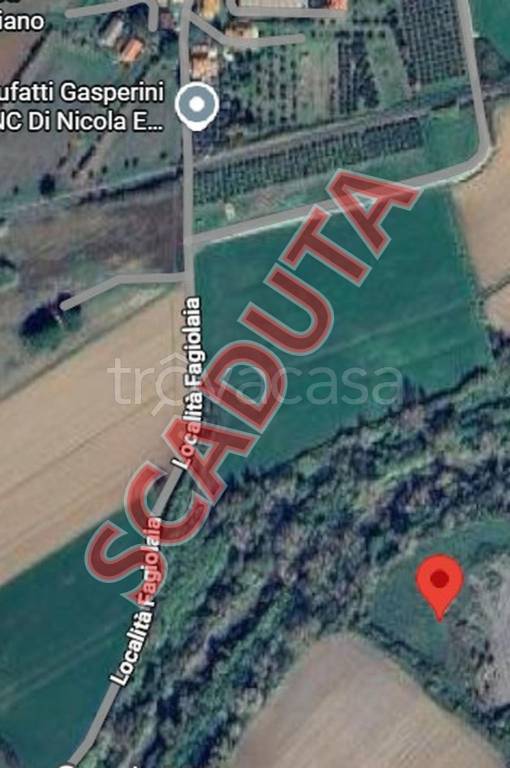 terreno agricolo in vendita a Montescudaio