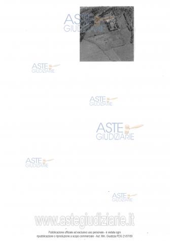 terreno agricolo in vendita a Montescudaio