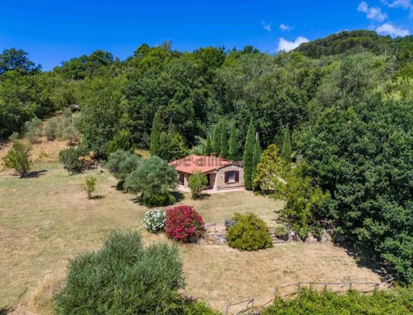 casa indipendente in vendita a Montescudaio