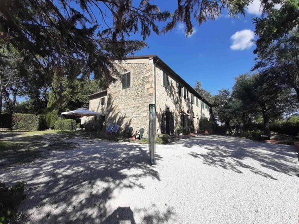 casa indipendente in vendita a Montescudaio