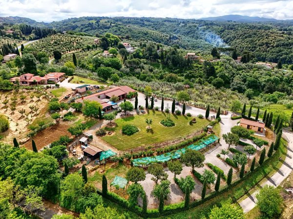 casa indipendente in vendita a Montescudaio in zona Casa Ceciaia