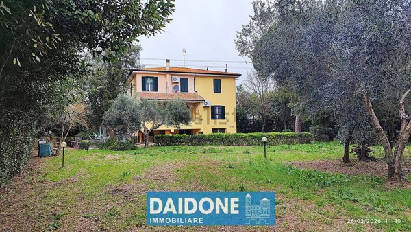 casa indipendente in vendita a Montescudaio
