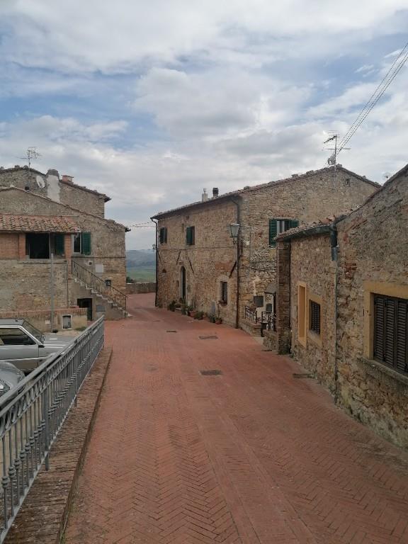 appartamento in vendita a Montescudaio