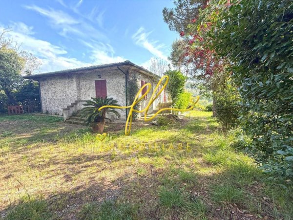 casa indipendente in vendita a Montescudaio
