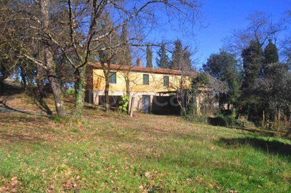 casa indipendente in vendita a Montescudaio
