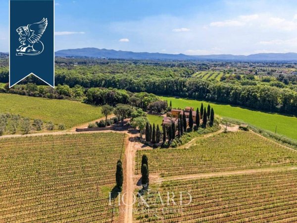 negozio in vendita a Montescudaio