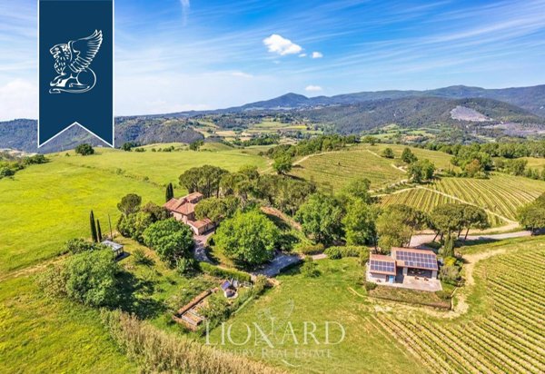 pentavano in vendita a Montescudaio