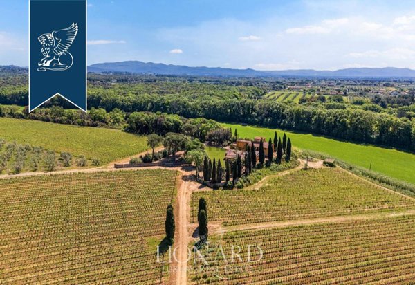 casa indipendente in vendita a Montescudaio