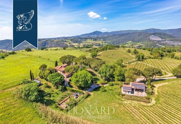 ufficio in vendita a Montescudaio
