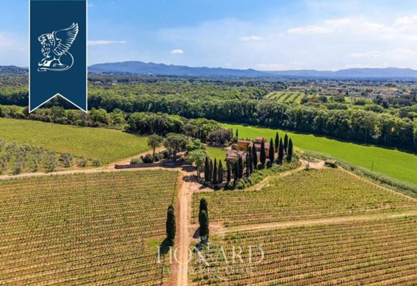 azienda agricola in vendita a Montescudaio