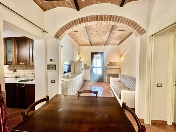 appartamento in vendita a Montescudaio