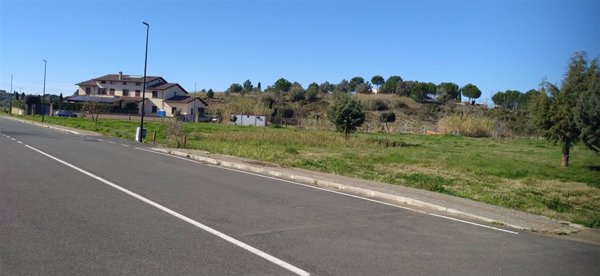 terreno agricolo in vendita a Montescudaio