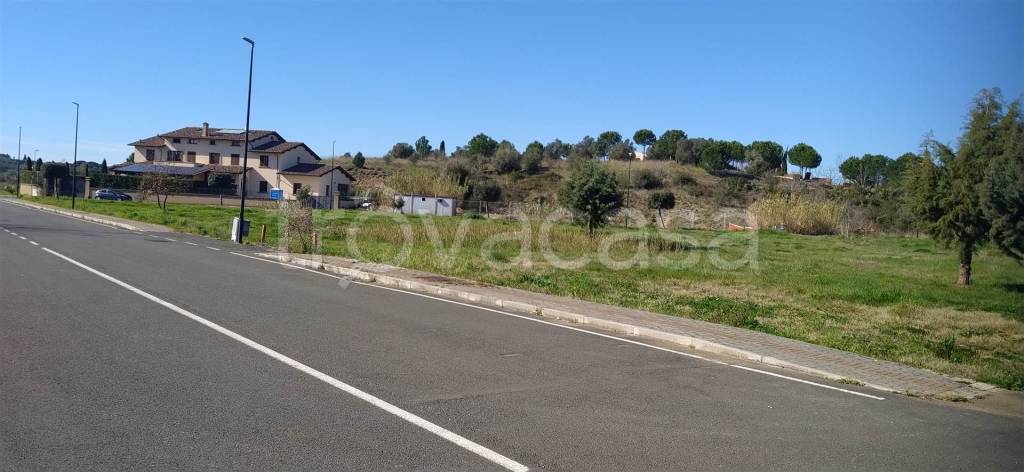 terreno agricolo in vendita a Montescudaio