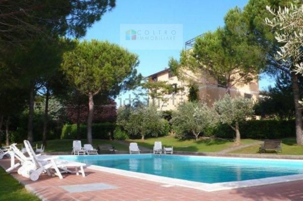appartamento in vendita a Montescudaio