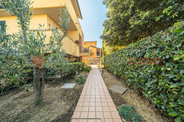 appartamento in vendita a Montescudaio