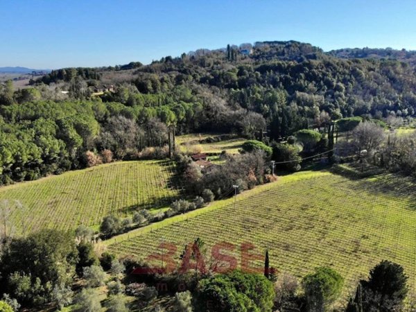 negozio in vendita a Montescudaio