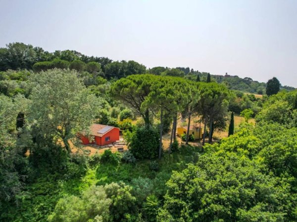 casa indipendente in vendita a Montescudaio in zona Casa Ceciaia