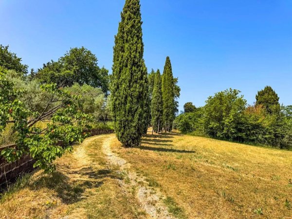 casa semindipendente in vendita a Montescudaio in zona Casa Ceciaia