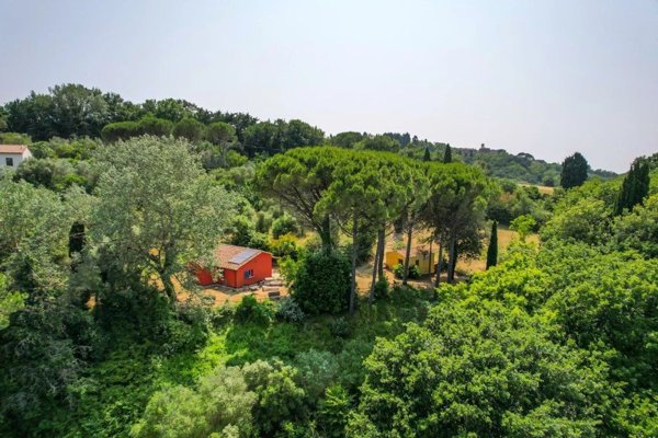 casa semindipendente in vendita a Montescudaio in zona Casa Ceciaia