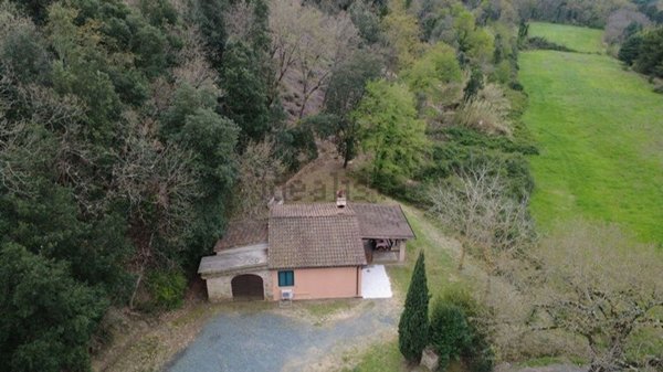 casa indipendente in vendita a Montescudaio in zona Casa Ceciaia