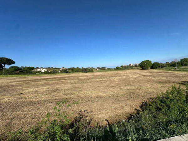 terreno agricolo in vendita a Montescudaio
