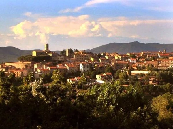 appartamento in vendita a Montescudaio in zona Rio del Sole/Bandello