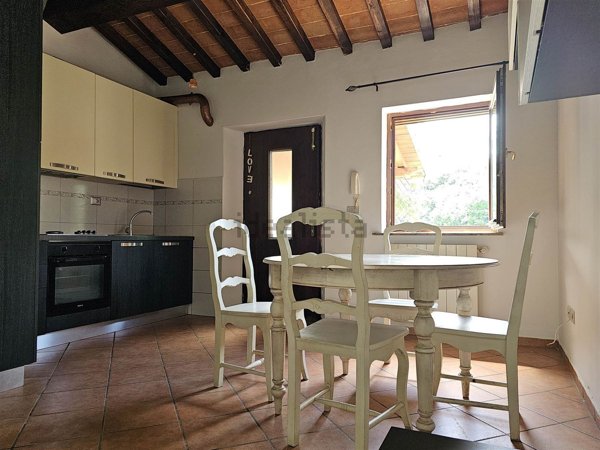 appartamento in vendita a Montescudaio in zona Rio del Sole/Bandello