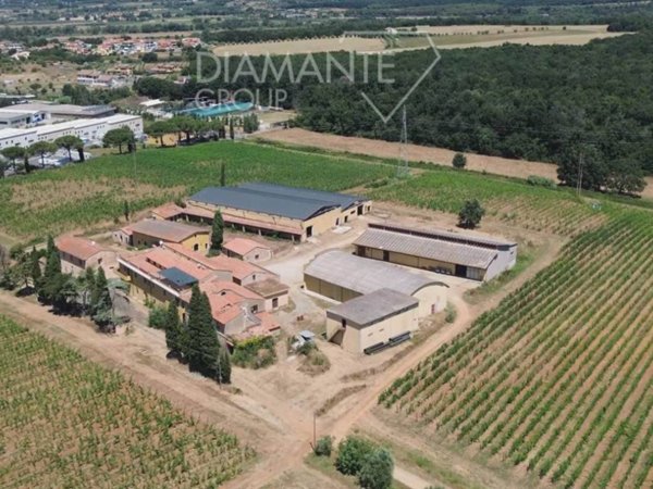 casa indipendente in vendita a Montescudaio in zona Rio del Sole/Bandello