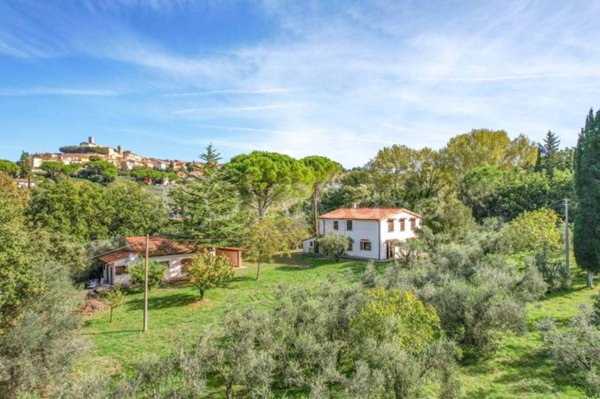 casa indipendente in vendita a Montescudaio
