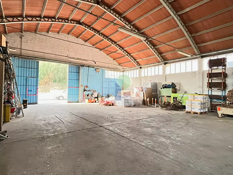 ufficio in vendita a Montescudaio