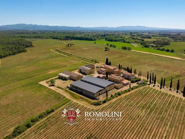 casa indipendente in vendita a Montescudaio in zona Rio del Sole/Bandello