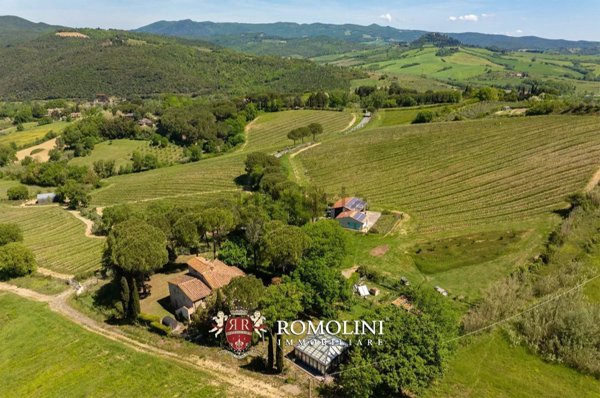casa indipendente in vendita a Montescudaio in zona Casa Ceciaia
