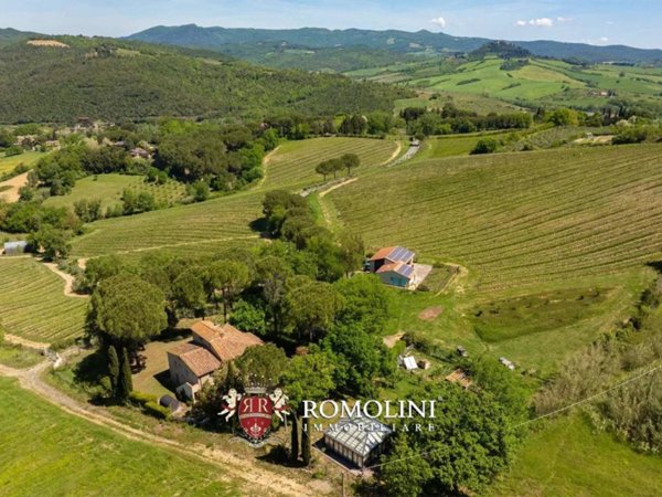 casa indipendente in vendita a Montescudaio in zona Rio del Sole/Bandello