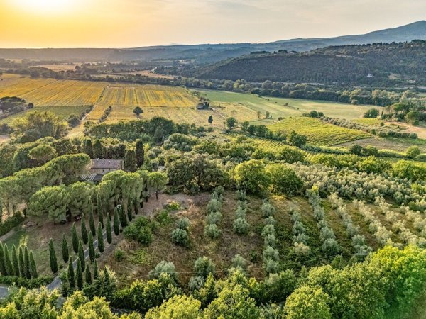 casale in vendita a Montescudaio in zona Casa Ceciaia
