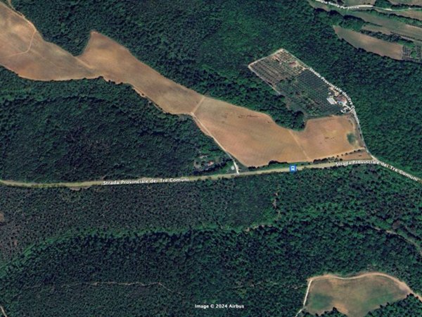 terreno in vendita a Montescudaio in zona Casa Ceciaia