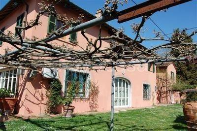 casa indipendente in vendita a Montescudaio