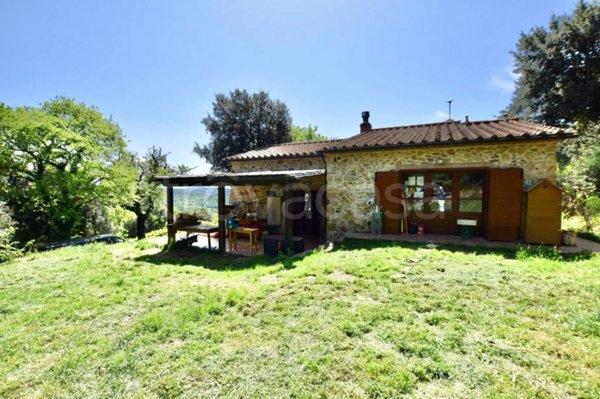 casa indipendente in vendita a Monteverdi Marittimo in zona Canneto