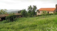 azienda agricola in vendita a Monteverdi Marittimo in zona Canneto