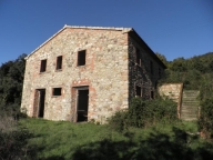 terreno agricolo in vendita a Monteverdi Marittimo