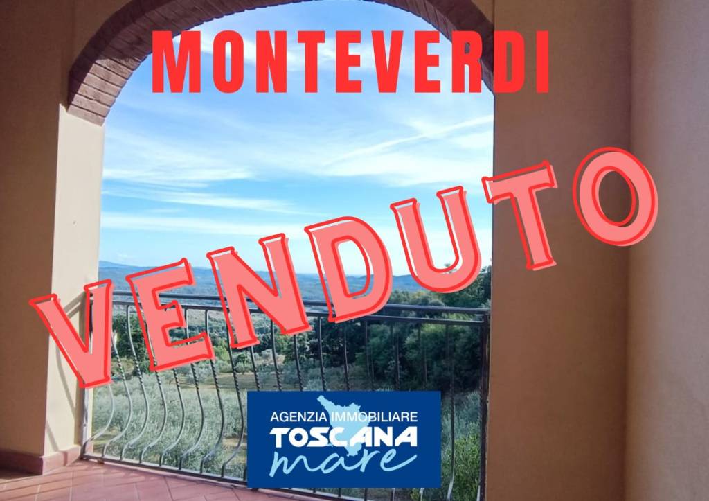 appartamento in vendita a Monteverdi Marittimo