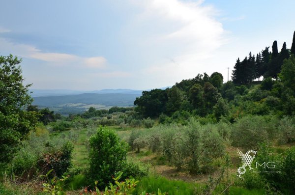 appartamento in vendita a Monteverdi Marittimo
