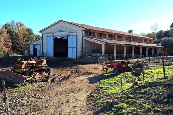 locale di sgombero in vendita a Monteverdi Marittimo in zona Canneto