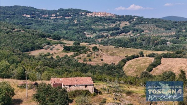 esavano in vendita a Monteverdi Marittimo