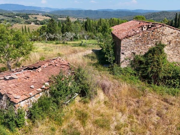 esavano in vendita a Monteverdi Marittimo