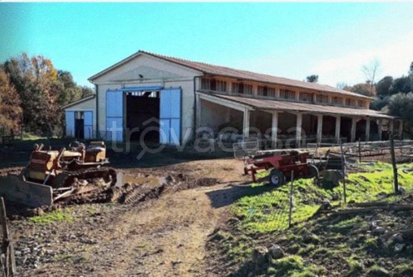 ufficio in vendita a Monteverdi Marittimo in zona Canneto