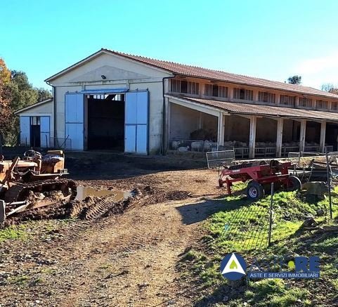 azienda agricola in vendita a Monteverdi Marittimo in zona Canneto